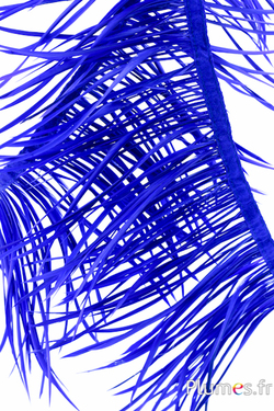 Oie guirlande - long. des plumes 13-19 cm - bleu